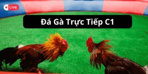 đá gà trực tiếp c1 mb66