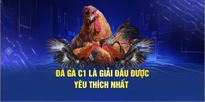 Đá gà trực tiếp C1 kịch tính với nhiều trận đấu lớn