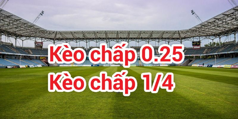 Kèo chấp 0.25 hay còn được gọi là tỷ lệ đồng banh nửa trái